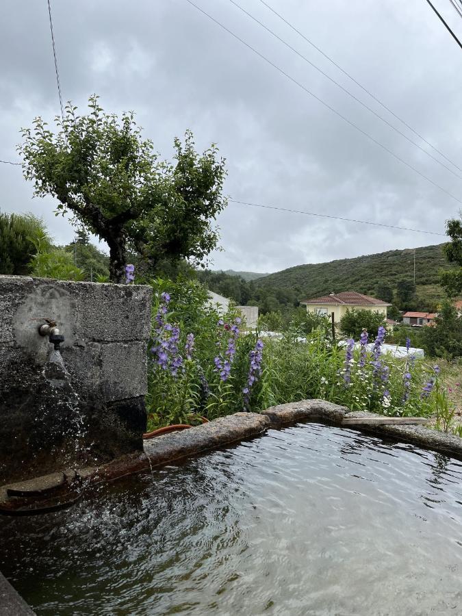 Casa De Campo Benfeito Dış mekan fotoğraf